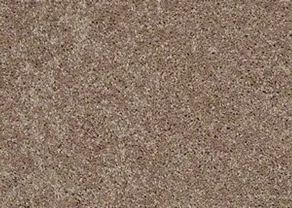 Image Alt Text